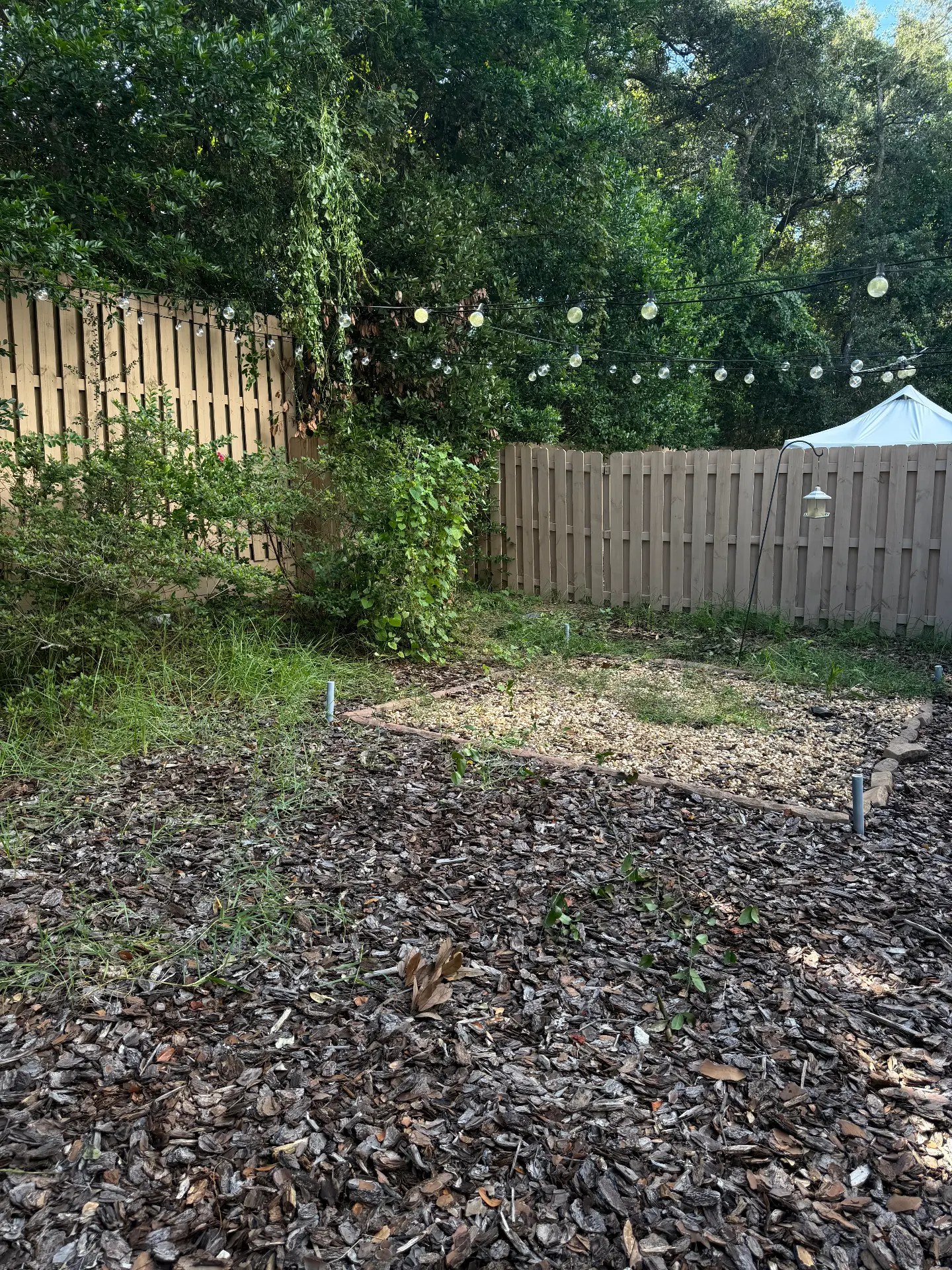 Overgrown, tired mulch bed before cleanup
