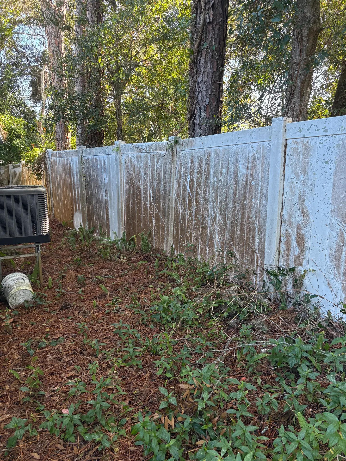 Vinyl fence before pressure washing